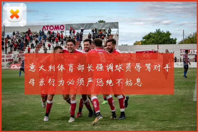 意大利体育部长强调球员辱骂对手母亲行为必须严惩绝不姑息